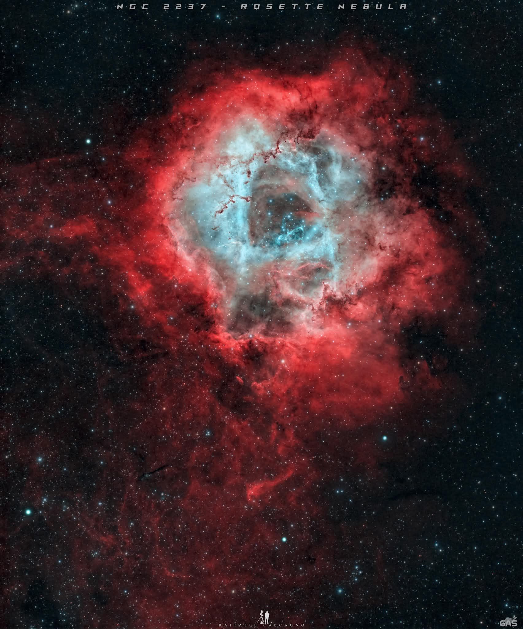 APOD: 2026 February 14 - Roses are Red