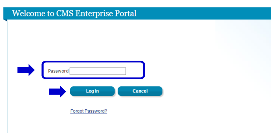 Welcome to CMS Enterprise Portal Page