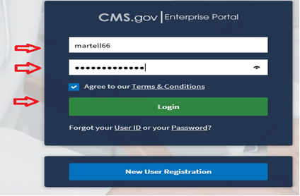 CMS Enterprise Portal Login Page - Enter User ID and Password