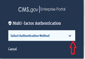 CMS Enterprise Portal - Select Authentication Method