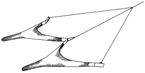 Drawing of a Twin Trawl Net Configuration