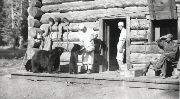 Three-bears-being-fed-by-a-member-of-the-kitchen-staff-another-kitchen-staffer-in-doorway-of-log-structure-William-G.-Steel-si.jpg